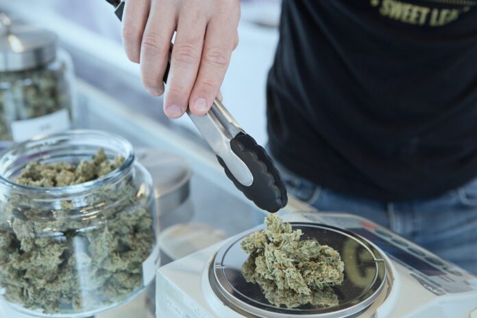 a person measuring the weight of marijuuana, Is Marijuana Legal in Oklahoma