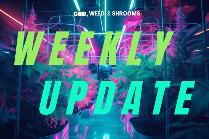 cbd weed and shrooms state weekly update